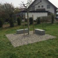 12963767_1833793346848079_8572688119001249872_n